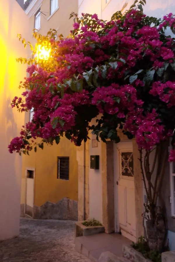 Proa D'Alfama Guest House Lizbona Portugalia