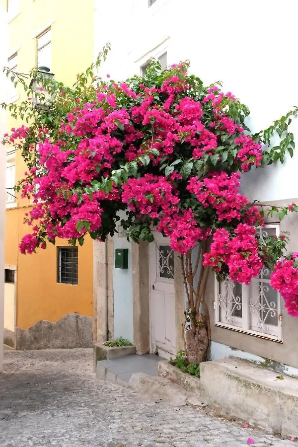Proa D'Alfama Guest House Lisbon
