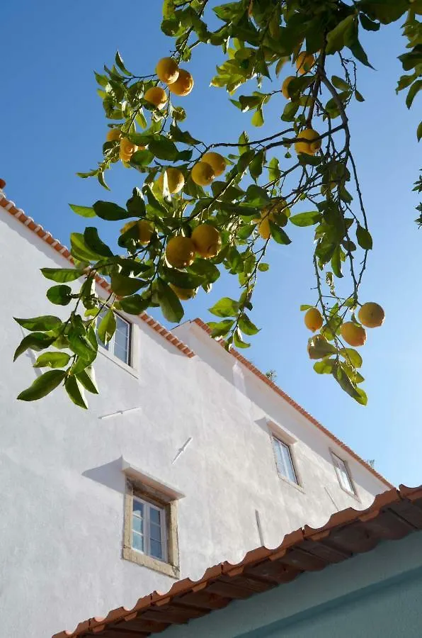 Proa D'Alfama Guest House Lisbon 0*,